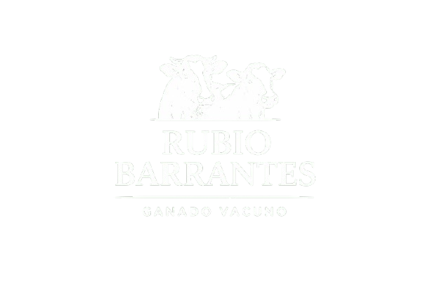 ChatGPT_Image_20_abr_2026__16_29_07-removebg-preview