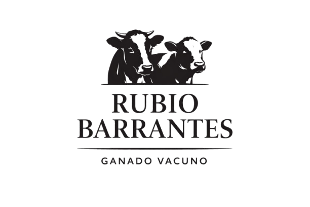 d89be560-ce69-4838-8882-2aba62ca1021-removebg-preview